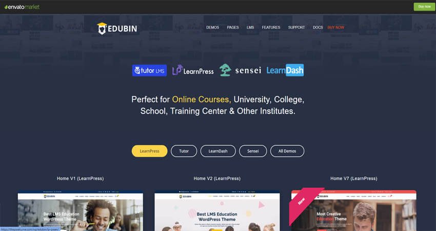 Edubin-Education WordPress Theme
