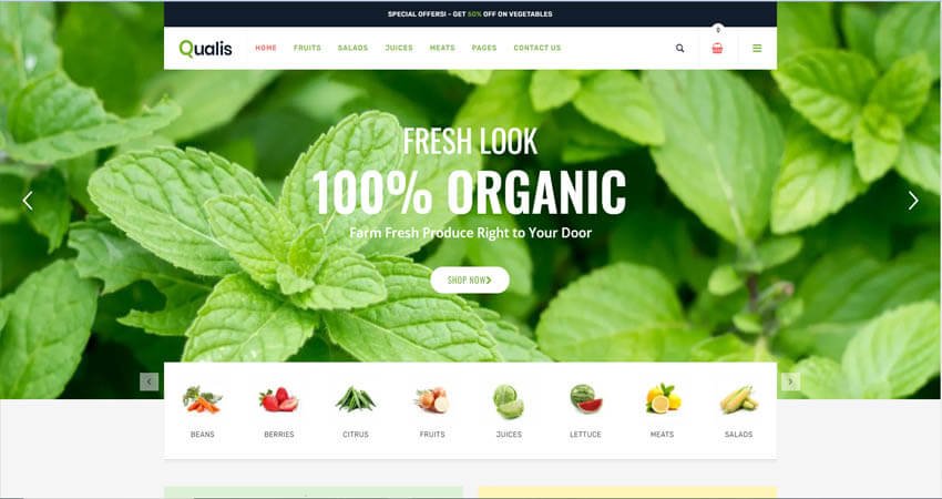 Qualis- Organic Food Responsive eCommerce WordPress Theme
