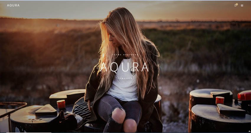 AQURA- Music WordPress Theme