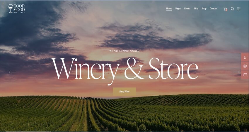 Good Mood-Wine Shop WordPress Theme 
