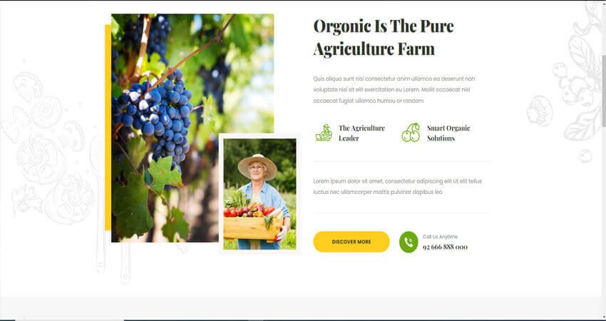 Orgonic- Organic Food Store WordPress Theme 
