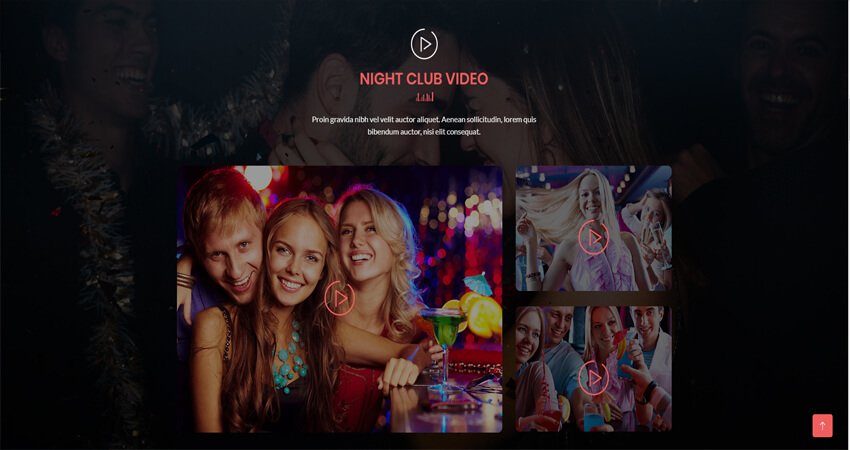 Domex -Night Club WordPress Theme
