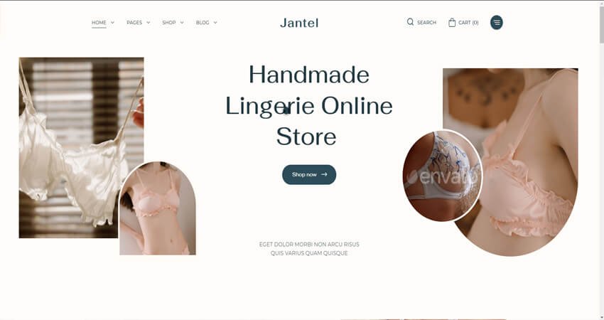 Jantel- Lingerie & Fashion Store Theme
