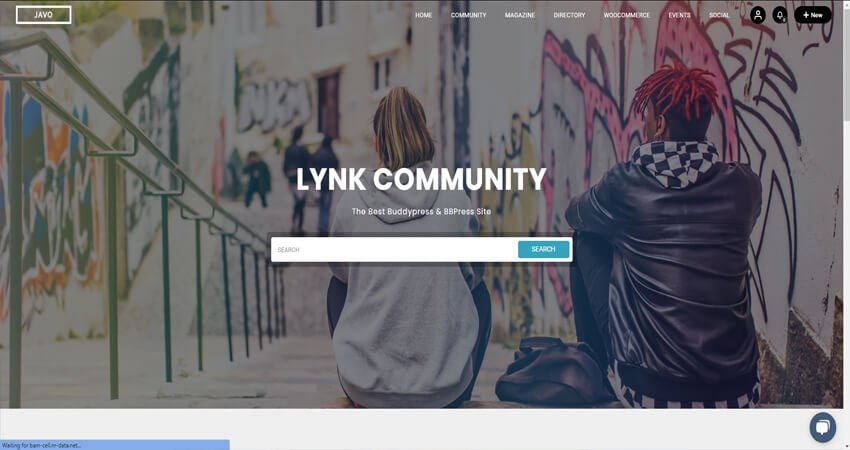 Lynk -Social Networking, Community, Shop Vendor & Listing Directory WordPress Theme