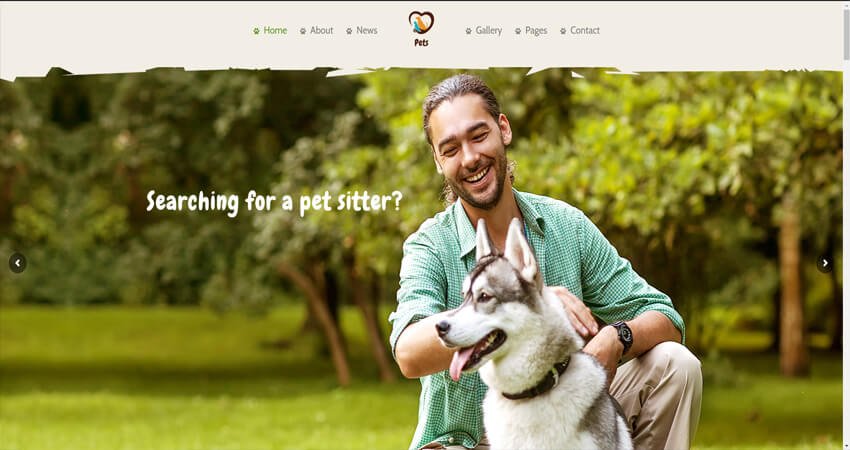 Pet World-Dog Care & Pet Shop WordPress Theme
