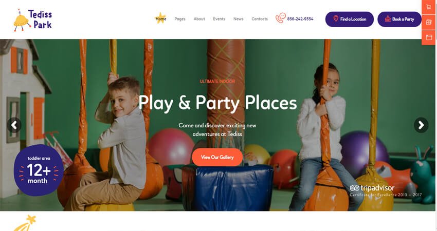 Tediss- Play Area & Child Care Center WordPress Theme