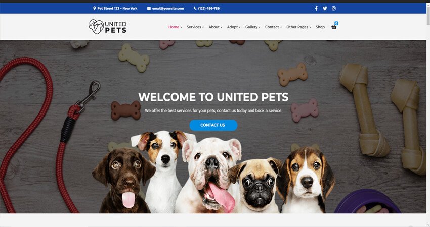 United Pets-Pet Shop & Veterinary WordPress Theme