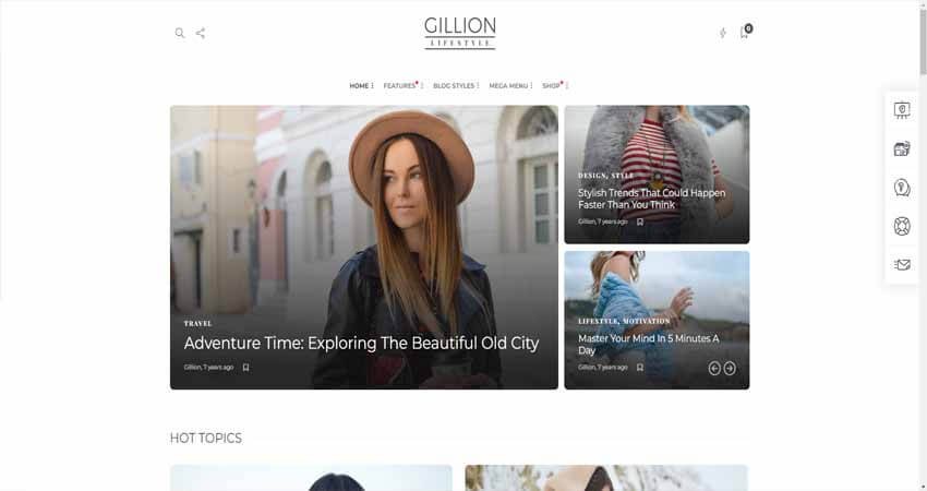 Gillon Multi-Concept- Blog & Magazine & Shop WordPress Theme AMP